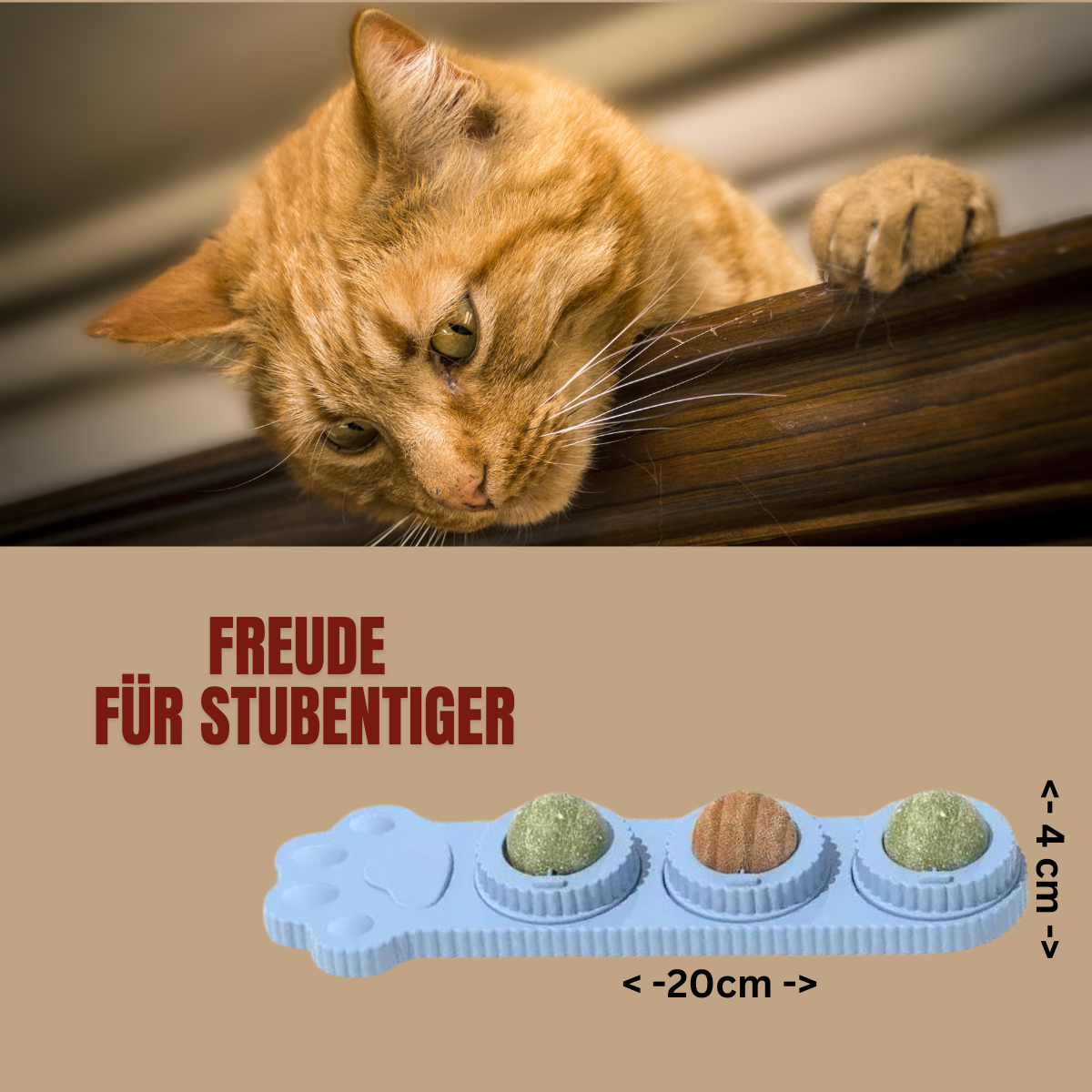 Stubentiger